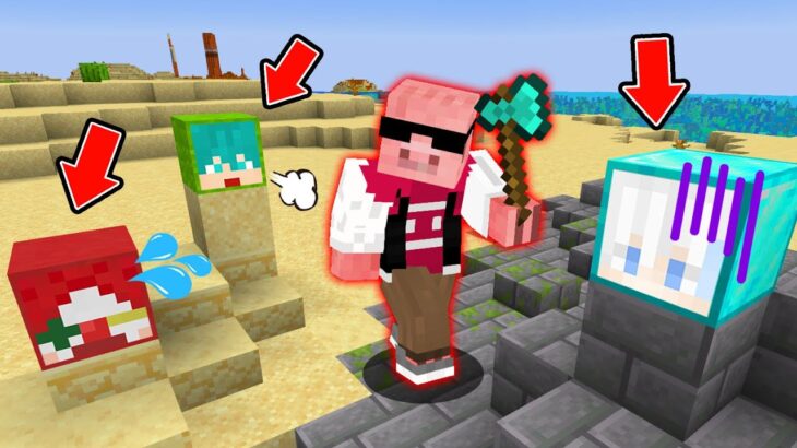 【マイクラ】ブロックに変身してかくれんぼ！？【おおはらMEN×さんちゃんく！】