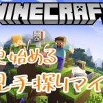 【Minecraft】初見手探りマイクラ  Pt.17