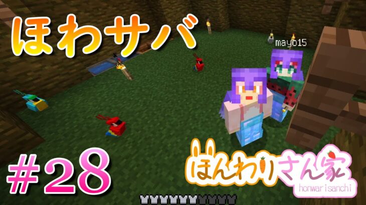 【minecraft】ほわサバ☆のんびりサバイバル生活♪オウムのお家建築のために資材集め！のはずが脱線しまくりｗ #28