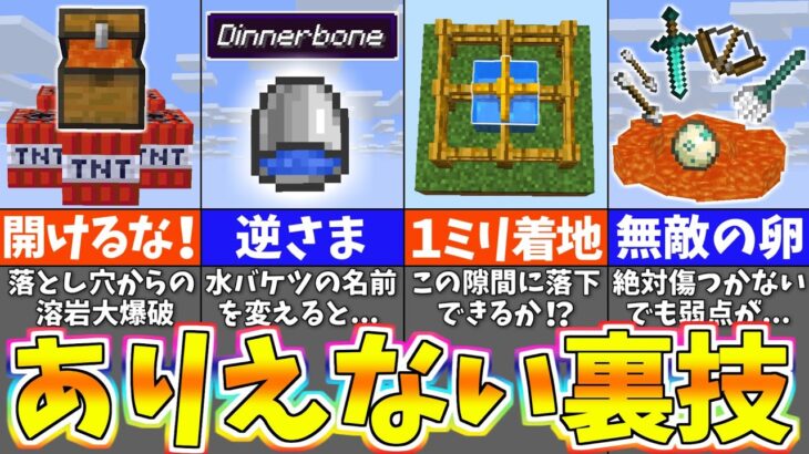 マイクラ 信じられないバグ・裏技＆小ネタ６選【検証】【マイクラ・マインクラフト】