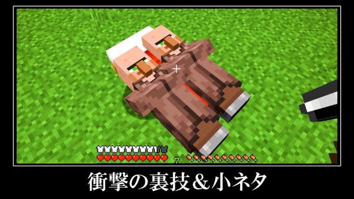 誰もが驚くマインクラフトのバグ裏技＆小ネタ７選