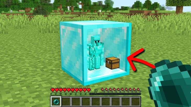 【マイクラ】どんなブロックでも中に入れるマインクラフト