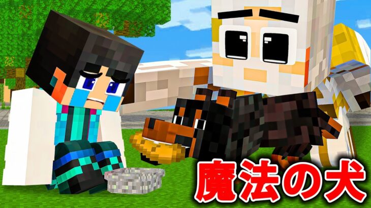 すまない先生かわいそうなことは魔法の犬に助けられました【すまない先生マインクラフト】【マイクラ・マインクラフト】