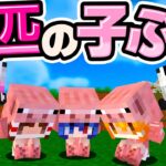 🍁【マイクラ】食べられたくない子ぶたちゃんと食べたいオオカミちゃん【ゆっくり実況】【マインクラフト】【まいくら】