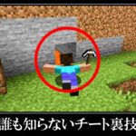 【衝撃】マインクラフトの隠されたバグ裏技＆小ネタ９選