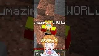 羊毛の違い ～初心者 vs プロ～【まいくら/マインクラフト】