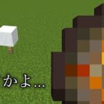 【マイクラ】これ知っている人いないだろww　～粉雪にファイヤーボールをぶつけると～【マインクラフト 1.19】【小ネタ】【コマンド】#Shorts #マイクラウラ技