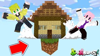 【マイクラ】1ブロックしかないマインクラフト生活でとんでもない事やらかしました😛【まいくら/マインクラフト】