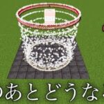 【マイクラ】まだ誰も見たことのない花火が…　   ～世界で誰もしたことのない花火検証まとめ～　【マインクラフト1.19】【小ネタ】【コマンド】 #マイクラウラ技　＃shorts