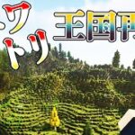 【マイクラ】#20 古の王国再建を誓う【Better Minecraft】うえまさのマイクラMOD実況