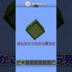 知ってたら上級者！見たことないブロックの裏側3選！？【マイクラ豆知識 解説 裏技】