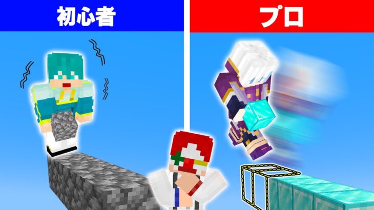 3000万再生された『マイクラ初心者とプロの違い』動画まとめ【マインクラフト】