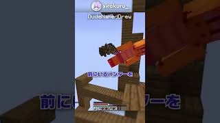 【異次元】世界レベルの最強着地方法4選？！！【マイクラ豆知識 解説 裏技】