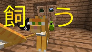 【Minecraft】 魔法の世界でサバイバルPart8 ネコを飼う 【ゆっくり実況】