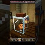 【マイクラ】バニラの雰囲気を壊さずにおしゃれにできる神Mod「Supplementaries」【Mod紹介】【小技】 #shorts