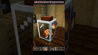 【マイクラ】バニラの雰囲気を壊さずにおしゃれにできる神Mod「Supplementaries」【Mod紹介】【小技】 #shorts
