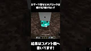 【マイクラ】ネザーで雪や氷などのブロックは解ける？解けない？【マインクラフト・まいくら】#Shorts