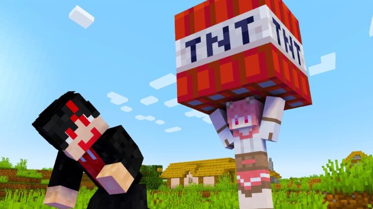 Tntのミサイルを投げ合うゲーム 配布ワールド Minecraft Summary マイクラ動画