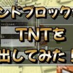 マインクラフトのコマンドブロックでTNTを出してみた