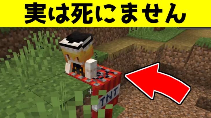 【マイクラ】毎分TNTが出現する世界！【マイクラ豆知識 解説 裏技/ゆっくり実況/マインクラフト】#Shorts