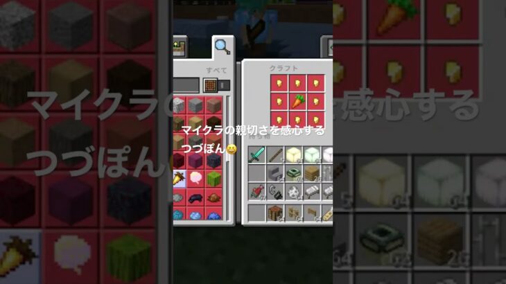 マイクラの親切さを感心するつづぽん　from めざせ！脱初心者かーちゃん！！ #00