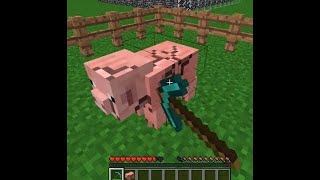 this cursed Minecraft video will trigger you.. #shorts​​ #Minecraft​