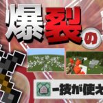 【統合版】コマンドで『魔法の技』を宿す爆裂の剣を紹介!!【マイクラコマンド】