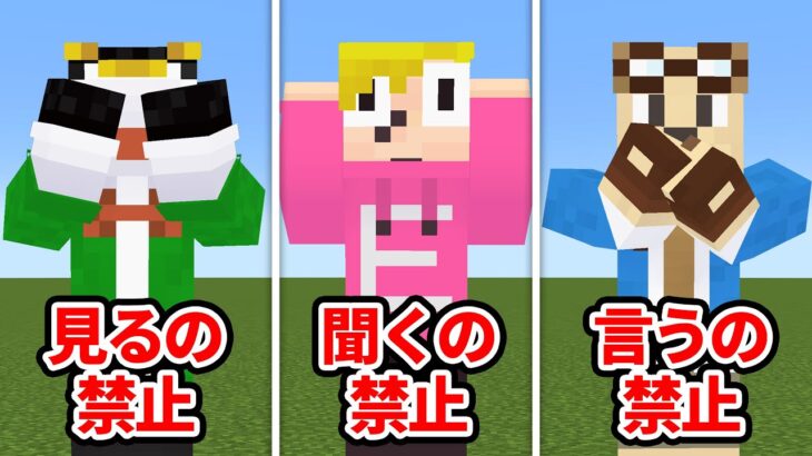 見るの禁止聞くの禁止言うの禁止でマインクラフト【マイクラ】