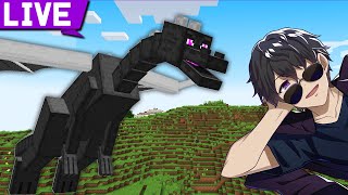 【マイクラ生放送】リセット無しエンドラ討伐！