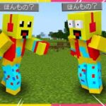 声も顔もそっくりで分からなくなった😱【まいくら・マインクラフト】