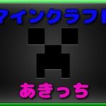 マインクラフト　お城建築始めますか？