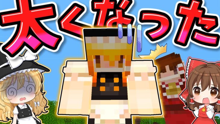 【マイクラ】🌸たすけて！魔理沙の腕が太くなっちゃった！！😱【ゆっくり実況】【マインクラフト】【まいくら】