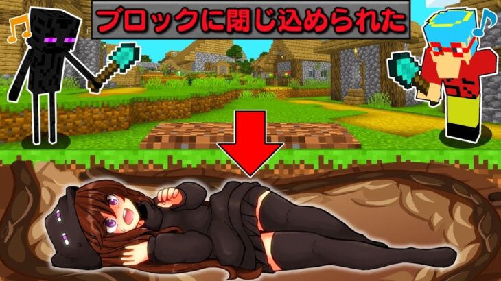 【マイクラ】ブロックの中に閉じ込められたモブ達を助けるサバイバルしたらとんでもなかった！？