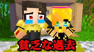 貧乏すぎる過去がヤバすぎる　ミスターマネーの過去【マイクラ・マインクラフト】