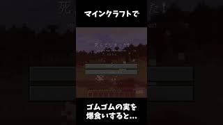 【ワンピース】マイクラでゴムゴムの実を爆食いすると…【まいくら•マインクラフト】