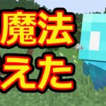 アレイが光魔法を使えるように！【マイクラコマンド】【僕の考た理想のワールド】#1