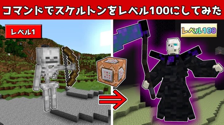 【マイクラ】スケルトンをコマンドでレベル100にしてみた【マイクラRPG製作日記】#20