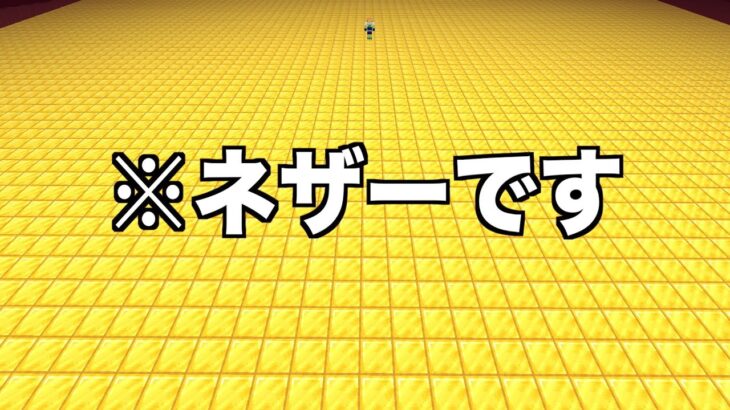 「第2回ネザー清掃」一面金ブロック＃１７１「じゃじゃクラ」【マイクラ】