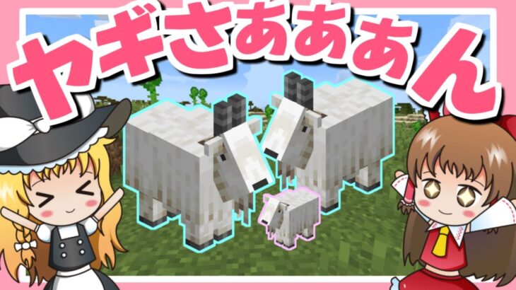 【マイクラ】ヤギの角笛が欲しい‼でもヤギさんが可愛くて取れない?!🐐💕～ちょこクラ#28～【ゆっくり実況】【マインクラフト】