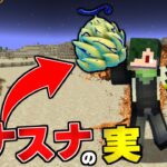 プリズンクラフト #29 スナスナの実が強すぎる…【まいくら】【マインクラフト】