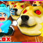 7匹の子猫を助けるロブロックス🐱【 ROBLOX / ロブロックス 】