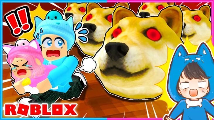 7匹の子猫を助けるロブロックス🐱【 ROBLOX / ロブロックス 】