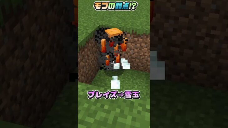 99%が知らない”モブの弱点”！？【マイクラ / Minecraft】【豆知識 解説 裏技】#Shorts