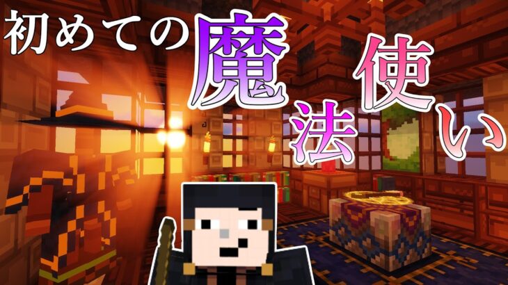 【マイクラ】魔法の世界と首だけ男【A job for the mage】
