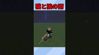 【マイクラMOD紹介】猫と狼の雨MOD【#Shorts】【ゆっくり実況】