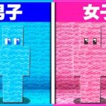 男子と女子でかくれんぼしたらどっちが上手い？😄【 男女クラフト 】【 マイクラ / Minecraft 】