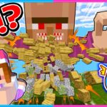 建物を粉々にする村長を倒して引っ越ししたい😨😱【 マイクラ / Minecraft 】