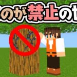 マイクラ史上最高に難しい!?ブロックを掘れない世界でエンドラ討伐!!マイクラMod実況【マインクラフト】