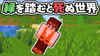 どうやって移動すればいいの!?緑を踏むと死ぬ世界でエンドラ討伐!!マイクラMod実況【マインクラフト】