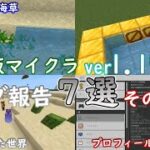 【統合版マイクラ】Ver1.19.22 マイクラのバグ7選～その1～ 統合版マインクラフト・バグ報告会【Switch/Win10/PE/PS4/Xbox】